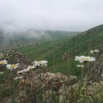 Karayaprak Günlüğü