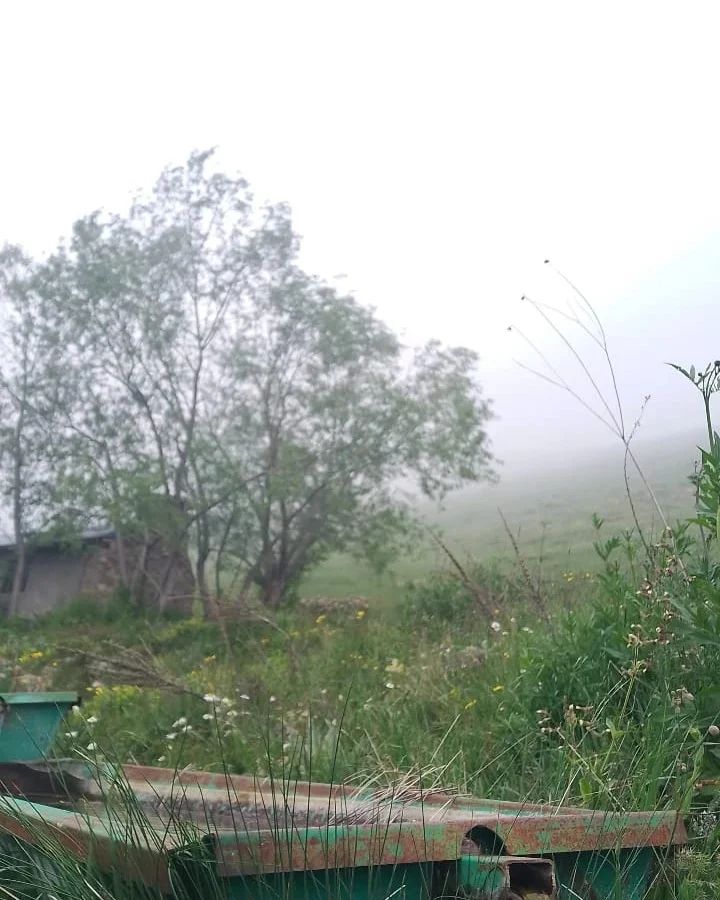 Karayaprak Günlüğü