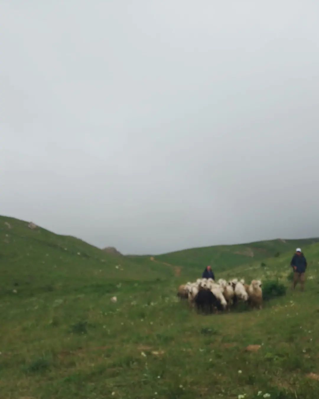 Karayaprak Günlüğü