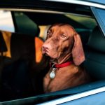 Kendimi Uzun Zamandır Bir Filmin İçinde Hissediyorum