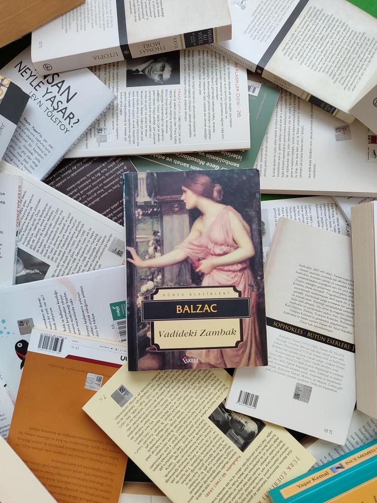 Mutlaka Okunması Gereken Kitaplar | Mutlaka Okunması Gereken 100 Kitap | Vadideki Zambak