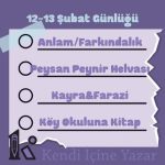 12-13 Şubat Günlüğü